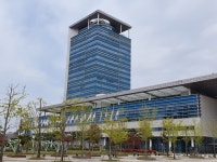 전남도, 진도 접도대교 지방도 803호선 본격 추진