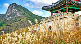 산청 황매산 자연휴양림으로 조성한다