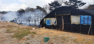 충남 보령 양계장서 불...병아리 1만1800마리 폐사