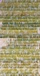 대덕문예회관, 방방곡곡 문화공감 사업 선정… 4천만원 확보
