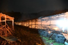 충남 청양 양계장서 불...닭 2만 5천마리 폐사