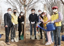 송파구,  식목일 맞아 구민과 송파둘레길 이팝나무 70주 식재