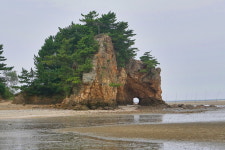 충남 태안 솔향기길, 힐링 여행지로 인기