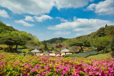 충남 태안군, 5월 가정의 달 다양한 볼거리 풍성