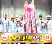 합천에서 이틀간 슈퍼한우 2마리 탄생
