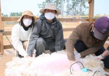 상하농원, 더운 여름 맞춤형 동물복지 체험전
