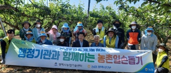 평택시농업기술센터, 농협중앙회 평택시지부 농촌일손돕기 나서다