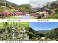 전북 데미샘자연휴양림, 성수기 예약 추첨 일정 안내