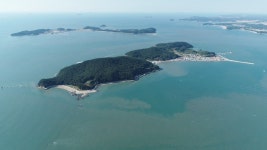 보령 고대도에서 올여름 휴가를 함께 즐기세요 