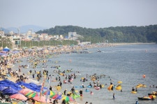 보령 대천해수욕장 서해안 최초 야간 개장 오픈