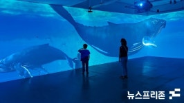 창원시, 20일부터 창동예술촌에서 미디어아트 특별전