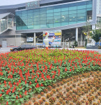 경산시 서부1동, 경산역 광장 앞 로터리 화단 환경정화