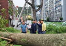 목포시의회 문차복 의장, 태풍 피해 현장 점검