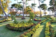 충남 홍성군, 가을꽃 구경 홍주읍성으로 가요