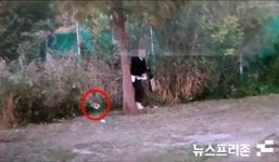 공원 연쇄방화...60대 여성 용의자 검거