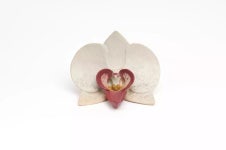 인간도 자연의 먹이가 될 수 있다