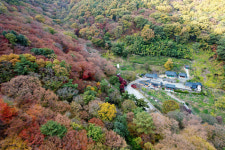 [포토]의령 신덕산 수도사, 울긋불긋 오색 단풍 절정