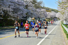 충남 서산시, 서산 관광사진 공모전 입상작품 전시회