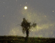 치과의사 사진작가 임창준의 