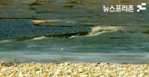 산청군 금서면 임천(엄천강) 1급수 기름유출 천연기념물 수난위기