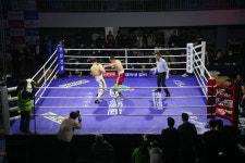 충남 서천군에서 열린 WBF 세계타이틀 매치 성료