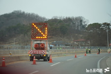 충남 예산군, 내포신도시 진입도로 '황금사철나무' 일부 제거
