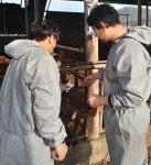 경산시, 축사화재 피해농가에 온정의 손길 이어져