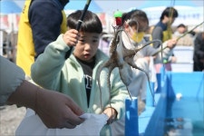 충남 서천군 동백꽃·주꾸미 축제 아빠 주꾸미 잡았어요