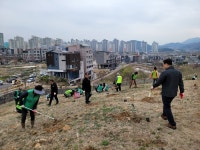 의창구, 북면 감계1호공원 일원 가시나무 500본 식재
