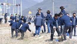 거창군, 제78회 식목일 지방도 1099호선 가로수길에 칠자화 식재