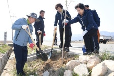 거창군, 제78회 식목일 지방도 1099호선 가로수길에 칠자화 식재