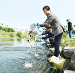 경산시, 금호강·조산천에 미꾸라지 300kg 방류..동양하루살이 사전 방제 나서