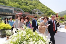 우리꽃 천지 의령...전국 분경야생화 작품전시회