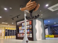 충남 보령시, 보령머드테마파크 머드축제·머드화장품 홍보관 개관