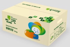 창원특례시 대표브랜드 창에그린 표준화 마케팅 시작