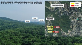 용인특례시, 광교산 송전철탑 이설 문제 대책에 나선다