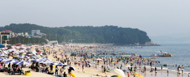 충남 보령시, 대천해수욕장 개장 기간 인명사고 제로 달성