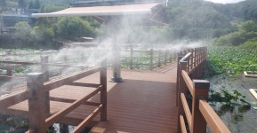 합천군, 정양늪 생태공원서 시원하게 산책 즐기세요