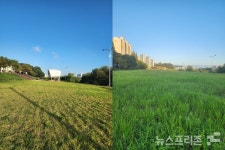 진주시, 호탄강변 잔디광장 관리소홀 지적