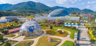 꽃으로 그린 섬 제17회 거제섬꽃축제 펼쳐진다