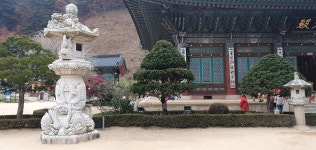 [줌인] 강원네이쳐로드! 숨겨진 비경, 기자단 팸투어 