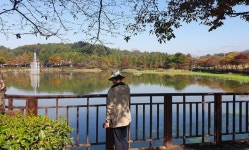 국화저수지 수변공원 산책로 | 창녕군, 명덕저수지 수변 산책로 정비..."일상 속 웰니스 공간으로 다가간다"