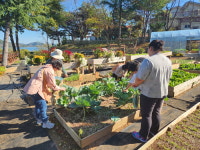 진주시, 자연에서 건강 회복하는 치유 농업 인기