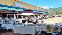 감성 충만한 산청약초시장 놀러오세요