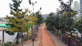 창원특례시, 3∙15해양누리공원 맨발 황톳길 시범 조성∙운영