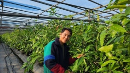 김농부 망고농장 대표 김재민, 끊임없이 재배 연구하는 청년농업인