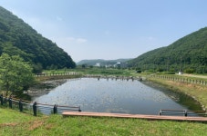 용인특례시, 시민 밀착형 사업 4건 추진