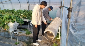 합천군, 겨울철 자연재해 대비 농작물∙시설물 관리 철저 당부