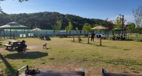 화성시, 반려가족 놀이터 개장 