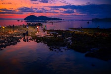 NAVER検索結果の写真 4
